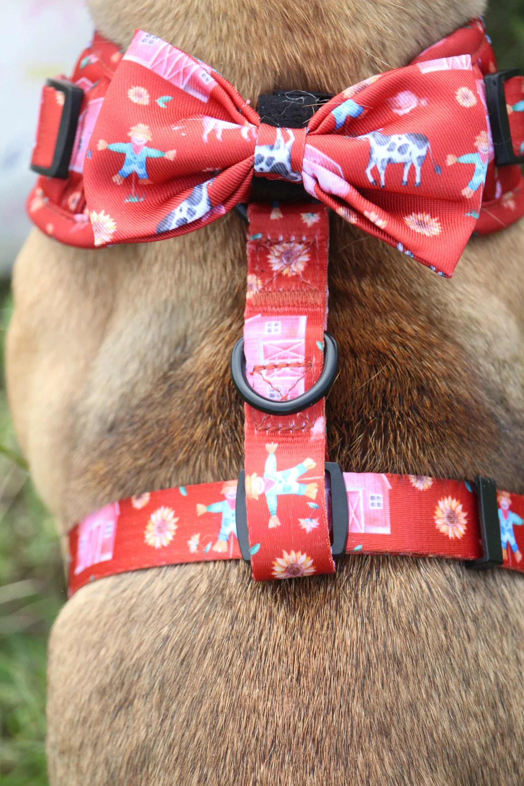 Fred & Ginger Red "Kind of a Pig Deal" Bow Tie