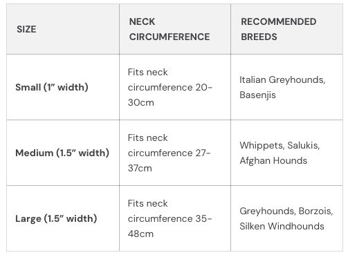 Bossy by Boston Dog Collar - Image 5