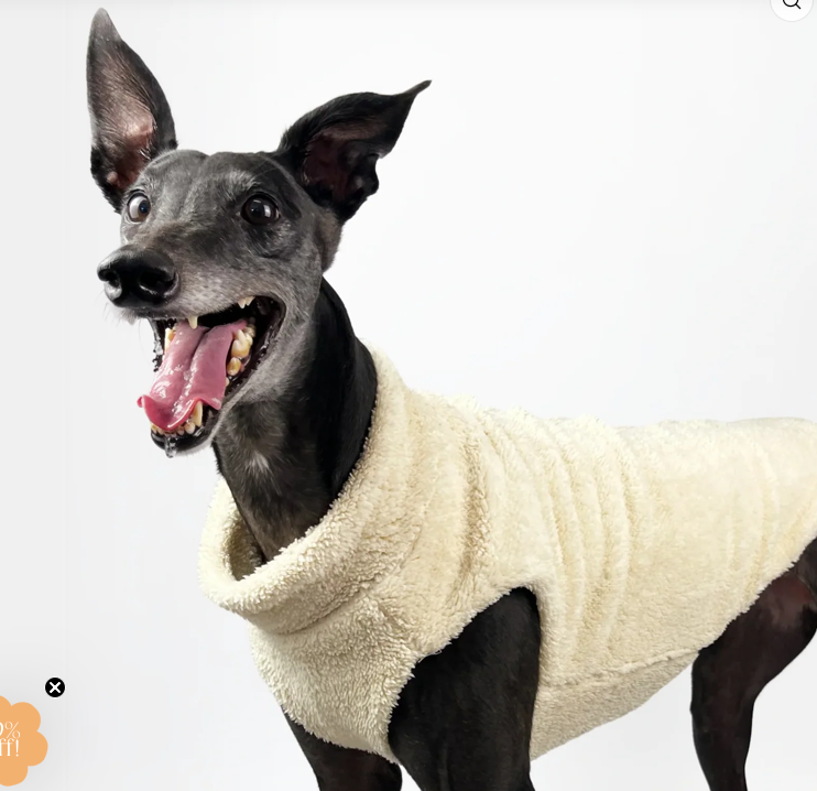 Bossy by Boston Reversible Sweater - Image 3